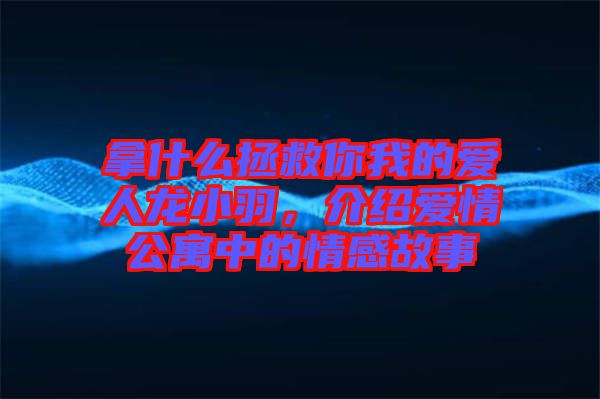 拿什么拯救你我的愛人龍小羽，介紹愛情公寓中的情感故事