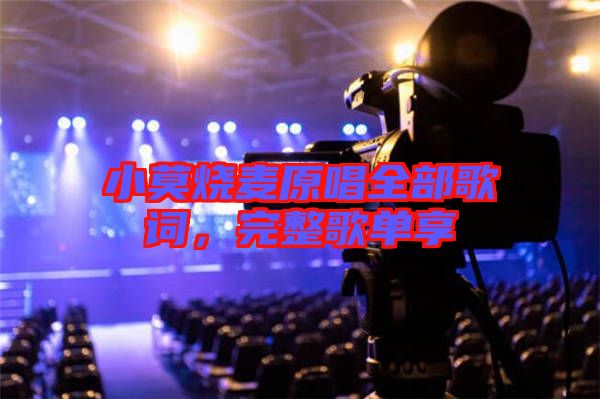 小莫燒麥原唱全部歌詞，完整歌單享