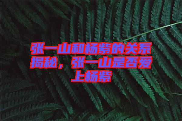 張一山和楊紫的關系揭秘，張一山是否愛上楊紫