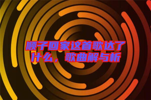 順子回家這首歌達了什么，歌曲解與析