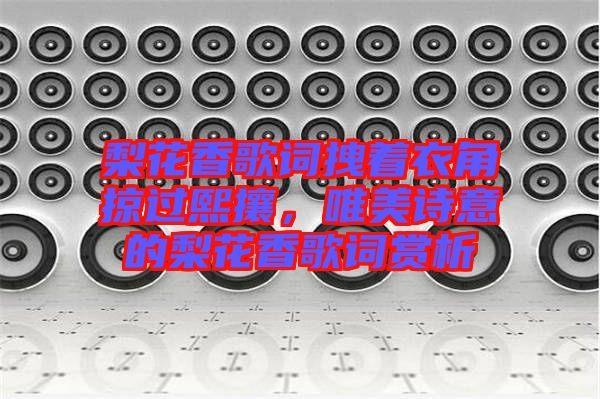 梨花香歌詞拽著衣角掠過熙攘，唯美詩意的梨花香歌詞賞析