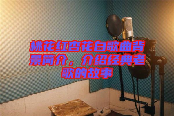 桃花紅杏花白歌曲背景簡介，介紹經典老歌的故事