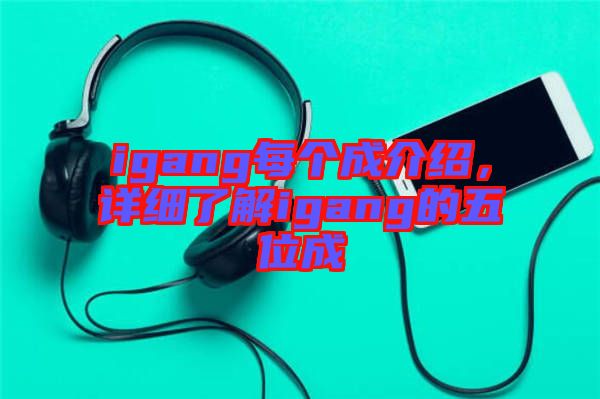 igang每個成介紹，詳細了解igang的五位成