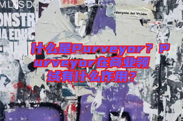 什么是Purveyor？Purveyor在商業領域有什么作用？