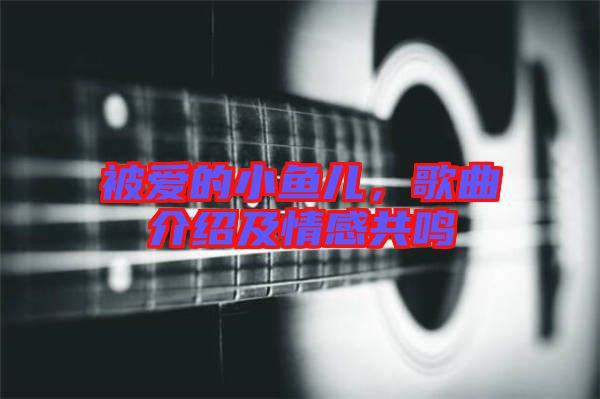 被愛的小魚兒，歌曲介紹及情感共鳴