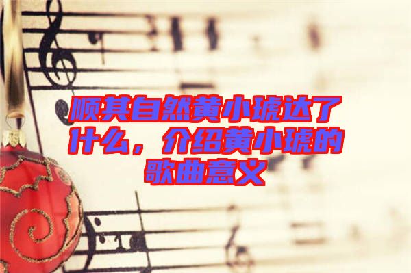 順其自然黃小琥達(dá)了什么，介紹黃小琥的歌曲意義