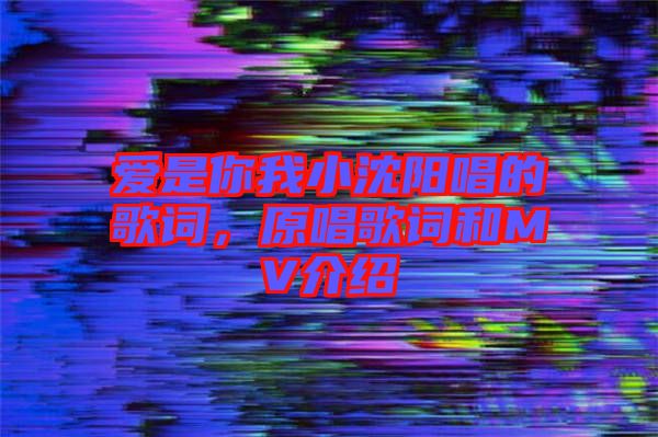 愛是你我小沈陽唱的歌詞，原唱歌詞和MV介紹