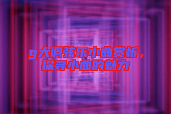 g大調(diào)弦樂小曲賞析，探尋小曲的魅力