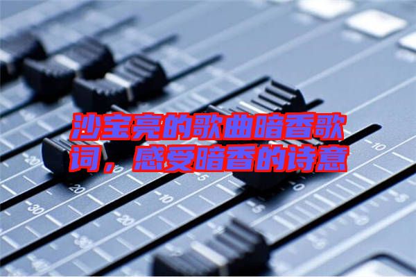 沙寶亮的歌曲暗香歌詞，感受暗香的詩意