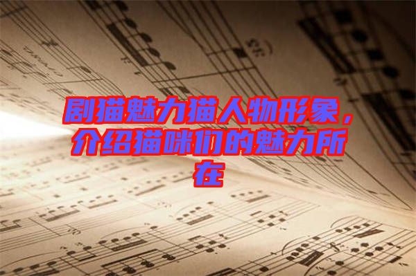 劇貓魅力貓人物形象，介紹貓咪們的魅力所在