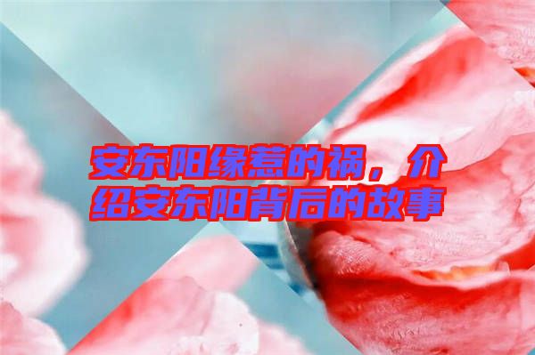 安東陽緣惹的禍，介紹安東陽背后的故事