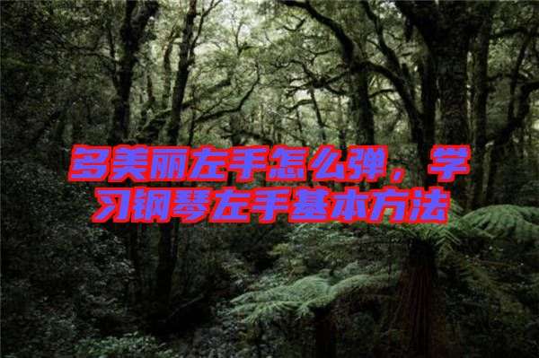 多美麗左手怎么彈，學習鋼琴左手基本方法