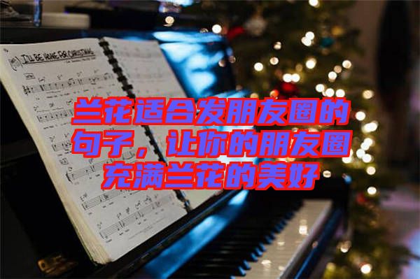 蘭花適合發朋友圈的句子，讓你的朋友圈充滿蘭花的美好