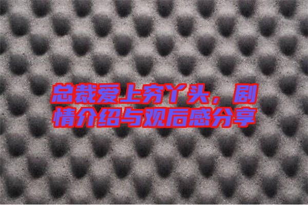 總裁愛上窮丫頭，劇情介紹與觀后感分享