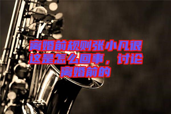 離婚前規則張小凡很這是怎么回事，討論離婚前的