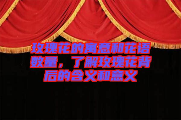 玫瑰花的寓意和花語數量，了解玫瑰花背后的含義和意義