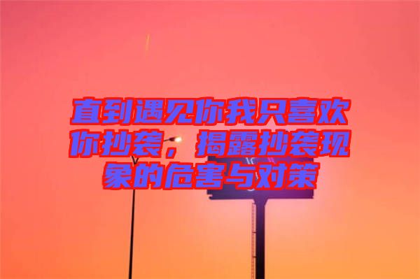 直到遇見你我只喜歡你抄襲，揭露抄襲現象的危害與對策