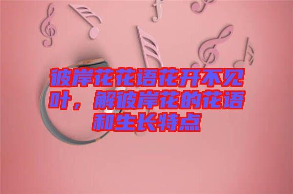 彼岸花花語(yǔ)花開不見葉，解彼岸花的花語(yǔ)和生長(zhǎng)特點(diǎn)