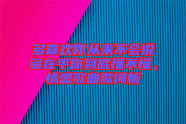 多喜歡你從來不會說多在乎你到底懂不懂，情感歌曲歌詞析