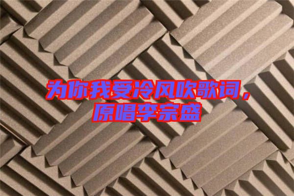 為你我受冷風吹歌詞，原唱李宗盛