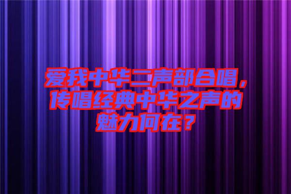愛我中華二聲部合唱，傳唱經(jīng)典中華之聲的魅力何在？