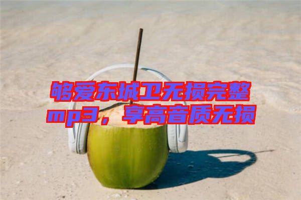 夠愛東城衛無損完整mp3，享高音質無損