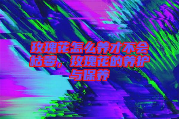 玫瑰花怎么養(yǎng)才不會(huì)枯萎，玫瑰花的養(yǎng)護(hù)與保養(yǎng)