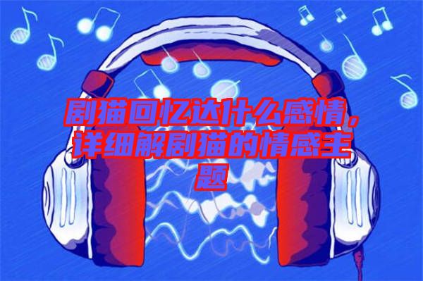劇貓回憶達什么感情，詳細解劇貓的情感主題