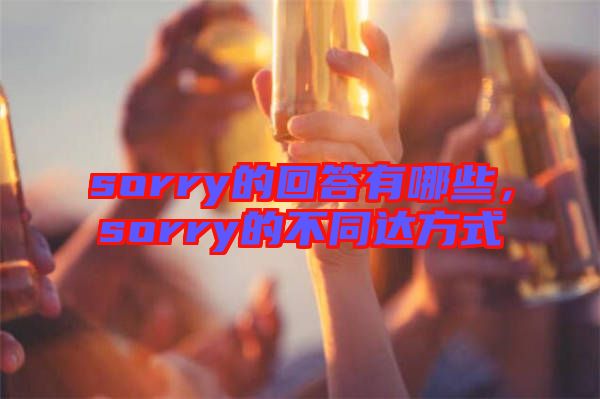 sorry的回答有哪些，sorry的不同達方式
