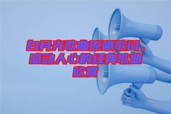 白月光歌曲原唱歌詞，感動人心的經典歌曲欣賞