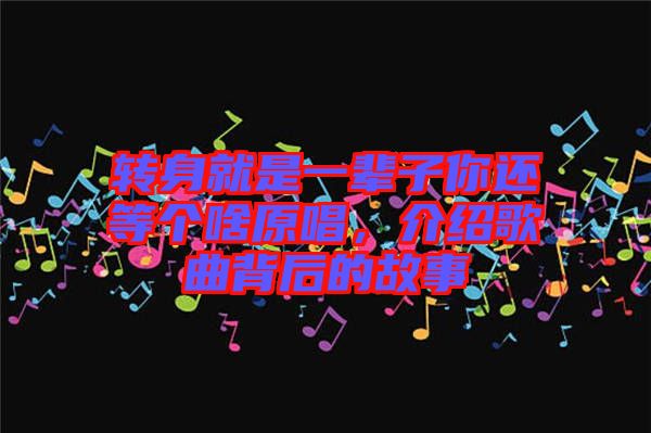 轉身就是一輩子你還等個啥原唱，介紹歌曲背后的故事