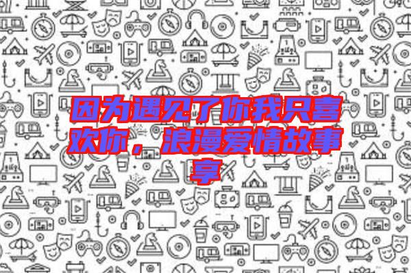 因為遇見了你我只喜歡你，浪漫愛情故事享