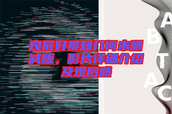 良辰好景知幾何未刪減版，影片詳細(xì)介紹及觀(guān)后感