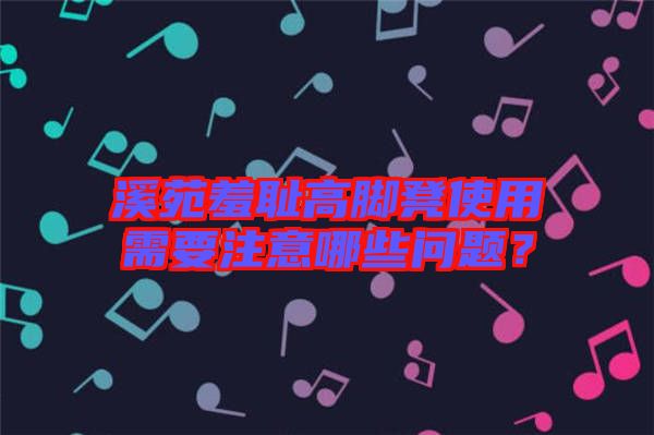 溪苑羞恥高腳凳使用需要注意哪些問題？