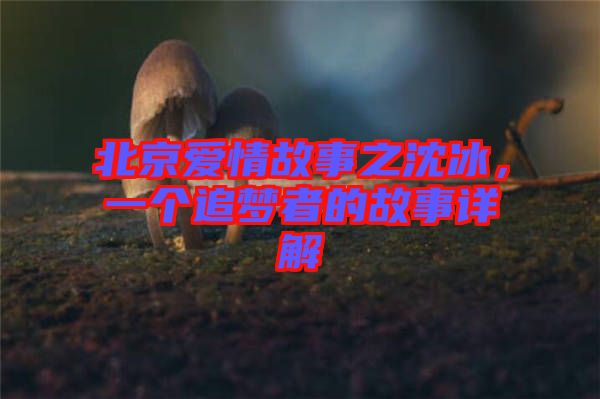 北京愛情故事之沈冰，一個(gè)追夢(mèng)者的故事詳解
