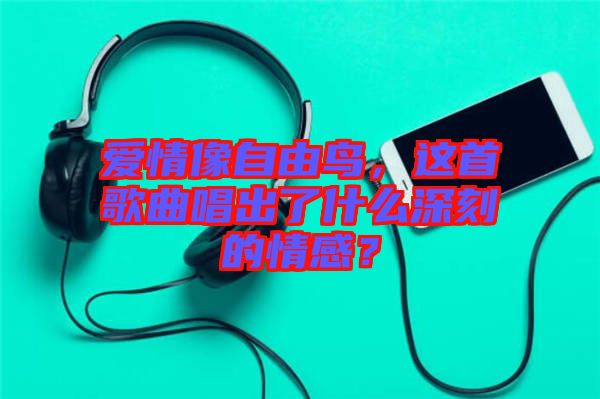 愛(ài)情像自由鳥，這首歌曲唱出了什么深刻的情感？