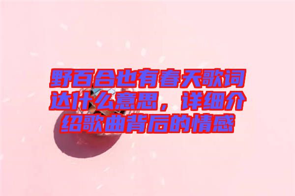 野百合也有春天歌詞達什么意思，詳細介紹歌曲背后的情感