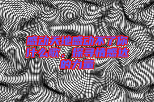 感動(dòng)天地感動(dòng)不了你什么歌，探尋情感達(dá)的力量