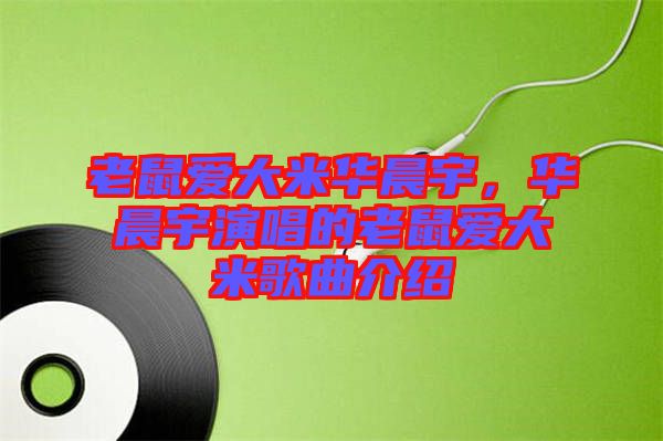 老鼠愛大米華晨宇，華晨宇演唱的老鼠愛大米歌曲介紹