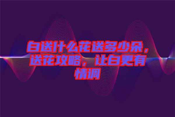 白送什么花送多少朵，送花攻略，讓白更有情調(diào)