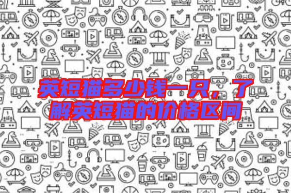 英短貓多少錢一只，了解英短貓的價格區(qū)間