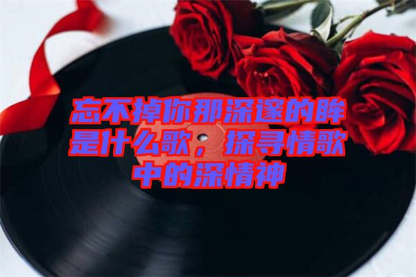 忘不掉你那深邃的眸是什么歌，探尋情歌中的深情神