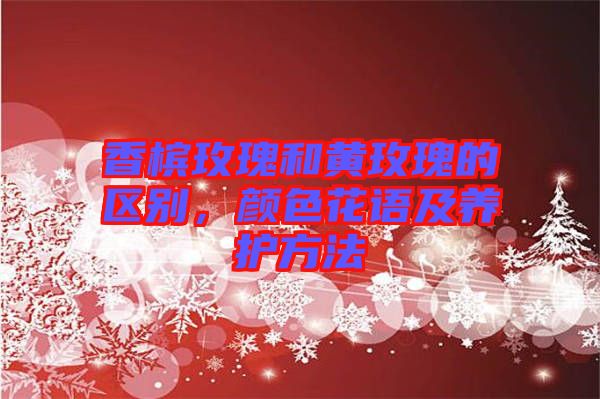 香檳玫瑰和黃玫瑰的區(qū)別，顏色花語(yǔ)及養(yǎng)護(hù)方法