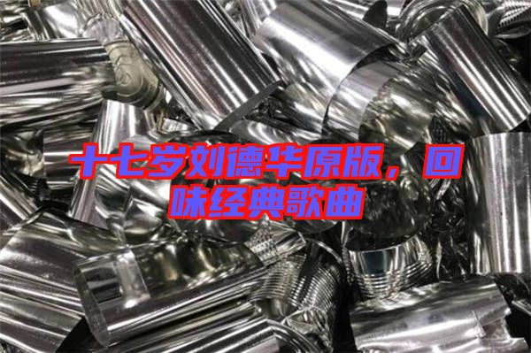 十七歲劉德華原版，回味經典歌曲