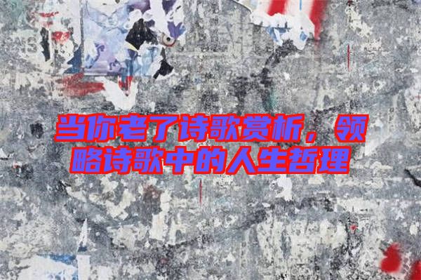 當你老了詩歌賞析，領略詩歌中的人生哲理