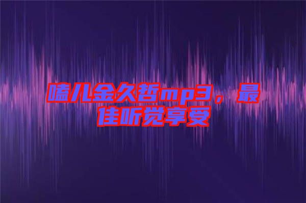 嗑兒金久哲mp3，最佳聽覺享受