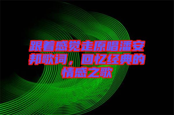 跟著感覺走原唱潘安邦歌詞，回憶經(jīng)典的情感之歌