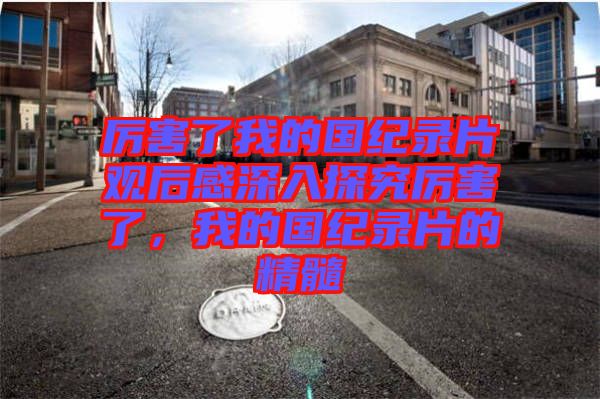 厲害了我的國紀錄片觀后感深入探究厲害了，我的國紀錄片的精髓