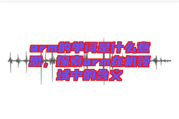 arm的單詞是什么意思，探索arm在機領域中的含義