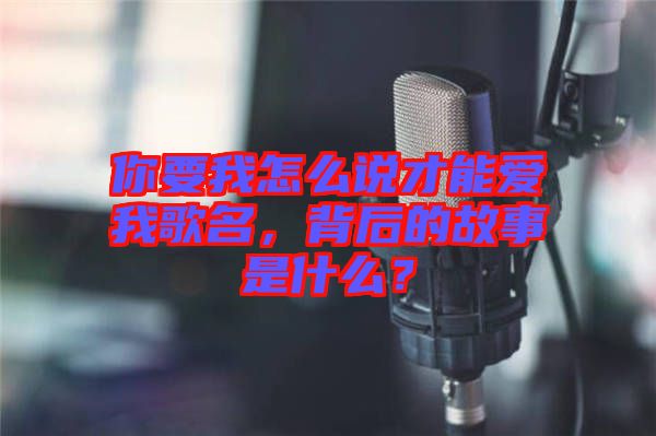 你要我怎么說才能愛我歌名，背后的故事是什么？